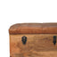 Buffalo - Storage Trunk