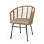 Randy - Modern Wicker Chair With Water Resistant Cushions - Brown / Beige