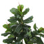 47" Tall, Artificial Plant, Fiddle Tree, Indoor, Faux, Fake, Floor, Greenery, Potted, Real Touch, Decorative - Green / Black