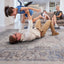 Payas - 6' X 9' Traditional Area Rug - Brown / Beige