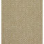 Earth - 5'3" X 7'3" Indoor, Outdoor Area Rug - Natural / White
