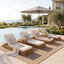 Chaise Lounge Set With 2 Fold Cushion