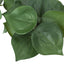 Artificial Alocasia Plant (Set of 2)