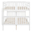 Bunk Bed With Ladder For Bedroom