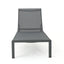 Outdoor Patio Chaise Lounge With 5 Reclining Positions
