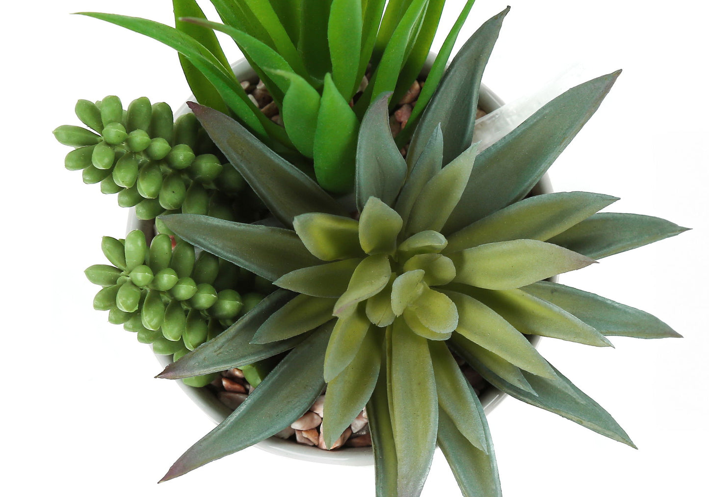 Artificial Succulent Plants (Set of 2)