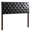 Super Nova - Headboard