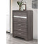 Ryder - Sparkle Chest - Gray