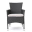 Dimensional Outdoor Dining Chair With Cushion Seat And Iron Frame (Set of 2)