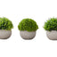 5" Tall, Artificial Plant, Grass, Indoor, Faux, Fake, Table, Greenery, Potted, Decorative (Set of 3) - Green / Gray