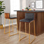 Mason Mara - Contemporary Versatile Desig Fixed Height Barstool (Set of 2)