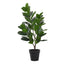 28" Tall, Artificial Plant, Garcinia Tree, Indoor, Faux, Fake, Floor, Greenery, Potted, Real Touch, Decorative - Green / Black