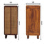 Larissa - 2 Door Cabinet - Brown
