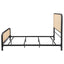 Randall - Bed