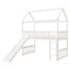 Loft Bed With Slide