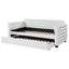 Fandango - Upholstered Twin Day Bed With Trundle - White