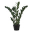 29" Tall, Artificial Plant, Zz Tree, Indoor, Faux, Fake, Floor, Greenery, Potted, Real Touch, Decorative - Green / Black