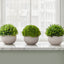 5" Tall, Artificial Plant, Grass, Indoor, Faux, Fake, Table, Greenery, Potted, Decorative (Set of 3) - Green / Gray