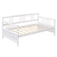 Multifunctional Elegant Modern Daybed