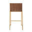 Mason Mara - Contemporary Design Fixed Height Counter Stool (Set of 2)