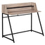 Computer Desk For Home Office Laptop, Storage Shelves, Contemporary & Modern