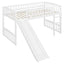 Loft Bed With Slide And Ladder