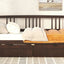 Multifunctional Elegant Modern Daybed