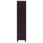 Nestor - 2 Drawer Tall Accent Cabinet With 2 Doors - Rustic