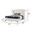 Sophia - Upholstered Bed