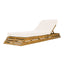 Chaise Lounge Set With 4 Fold Cushion And Built In Headrest