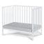 Palmer - 3-in-1 Convertible Mini Crib Baby With Mattress Pad