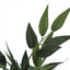 47" Tall, Artificial Plant, Acacia Tree, Indoor, Faux, Fake, Floor, Greenery, Potted, Silk, Decorative - Green / Black