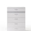 Naima II - High Gloss Chest - White
