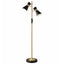 Axis - Floor Lamp With 4 Way Switch Double Spots With Base - Black / Gold
