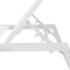 Myers - Modern Chaise Lounge Set With Adjustable Back