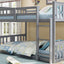 Solid Construction Bunk Bed & Ladder