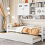 Daybed & All-In-One Cabinet And Shelf
