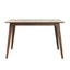 Modern Aesthetic Dining Table