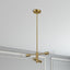 Trellis - 4 Lights Modern Gold Chandelier Vintage Pendant Fixture For Living Room - Clear / Gold