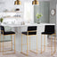 Fuji - Contemporary Design High Back Barstool