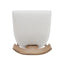 Upholstered Counter Height Bar Stools With Solid Rubber Wood Frame (Set of 2)
