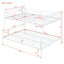 Contemporary Bunk Bed