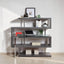Buck II - Writing Desk & Bookshelf