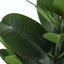 28" Tall, Artificial Plant, Garcinia Tree, Indoor, Faux, Fake, Floor, Greenery, Potted, Real Touch, Decorative - Green / Black