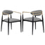 Mistra - Dining Arm Chair (Set of 2)