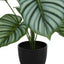 24" Tall, Artificial Plant, Calathea, Indoor, Faux, Fake, Table, Greenery, Potted, Real Touch, Decorative - Green / Black