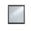 Shaker - Crocodile Metallic Mirror