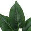 17" Tall, Artificial Plant, Aureum, Indoor, Faux, Fake, Table, Greenery, Potted, Real Touch, Decorative - Green / White