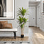 51" Tall, Artificial Plant, Dracaena Tree, Indoor, Faux, Fake, Floor, Greenery, Potted, Real Touch, Decorative - Green / Black