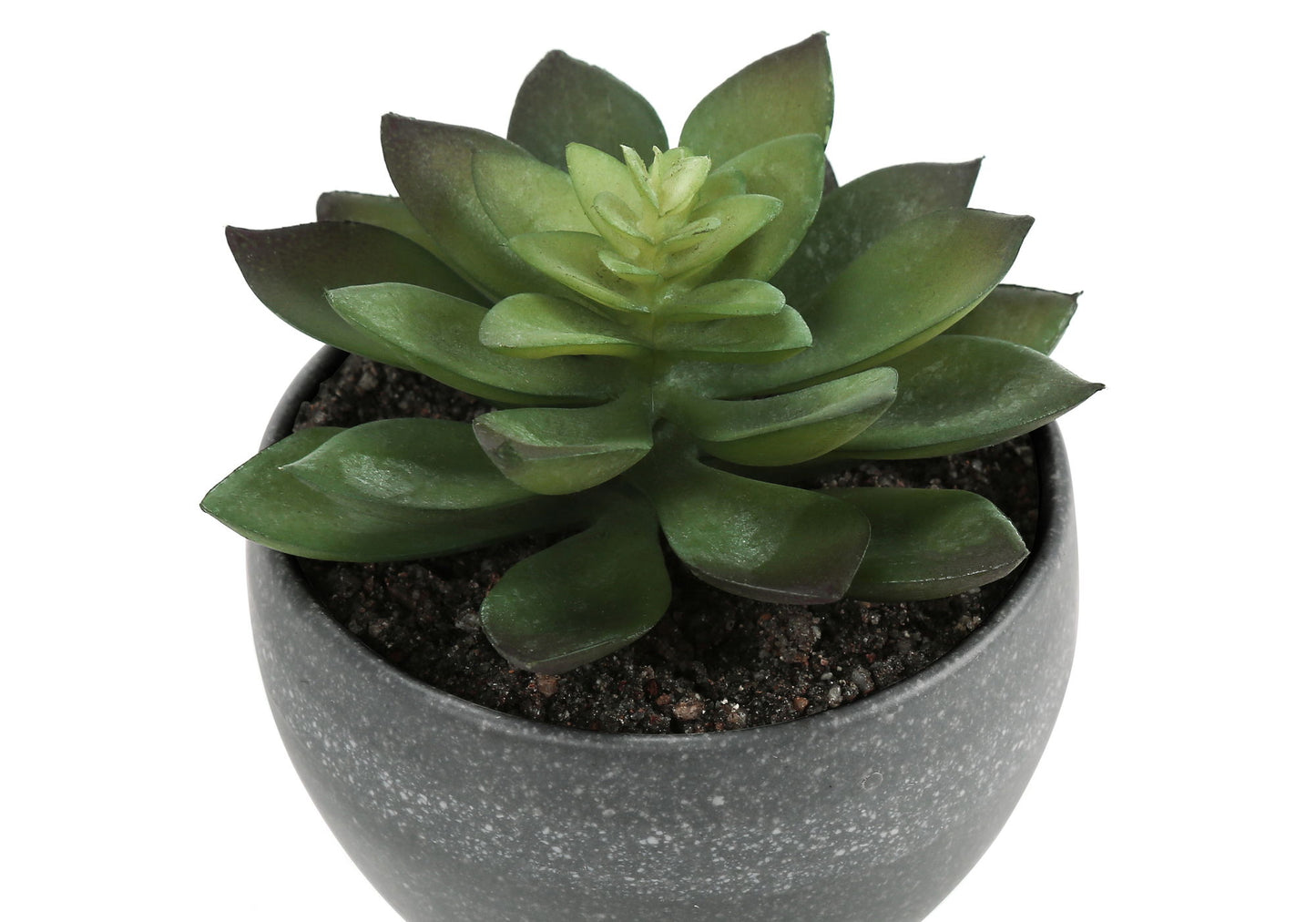 Artificial Succulent Plants (Set of 3)